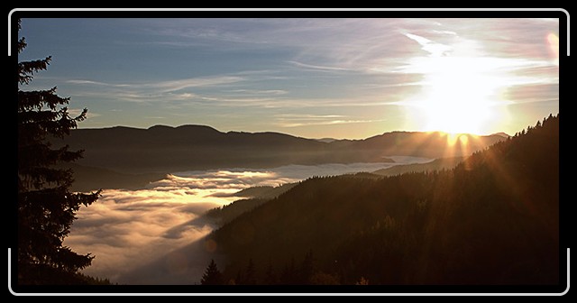 N&auml;chstes Bild
