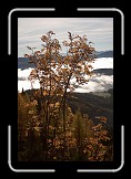05 Fall * 400 x 600 * (188KB)