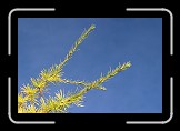06 Simplicity * 600 x 400 * (124KB)
