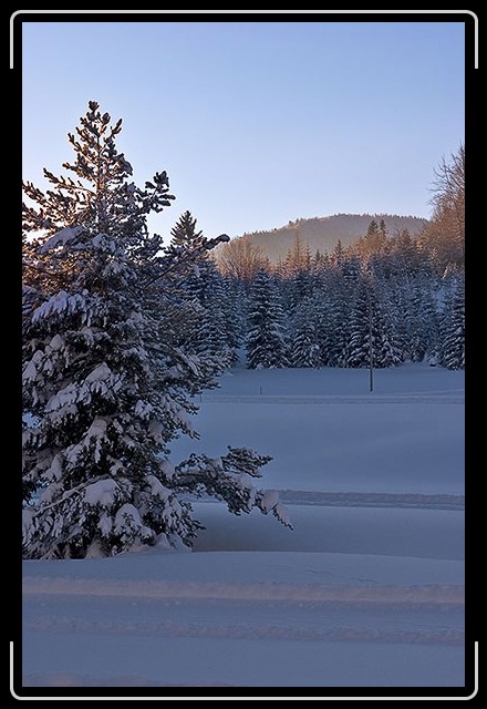 N&auml;chstes Bild