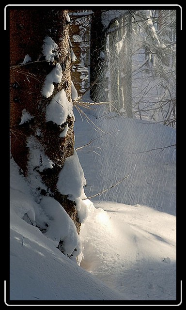 N&auml;chstes Bild