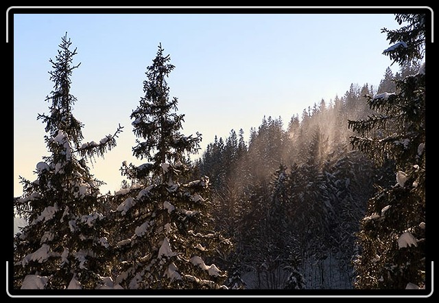 N&auml;chstes Bild