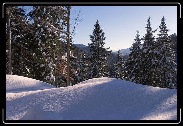 N&auml;chstes Bild