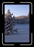 02 Silence * Early light on the way to Mariazell * 400 x 600 * (88KB)