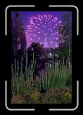 Firework 04 * Firework at Danub Island Celebration * 400 x 600 * (151KB)