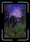 Firework 05 * Firework at Danub Island Celebration * 400 x 600 * (138KB)