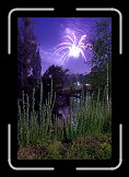 Firework 06 * Firework at Danub Island Celebration * 400 x 600 * (137KB)