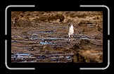 04 I'm Walking * 600 x 338 * (163KB)