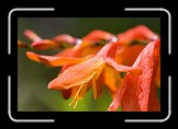 09 Color * 600 x 400 * (117KB)
