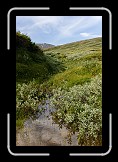 25 Green * 400 x 600 * (238KB)