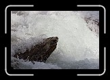 02 Water * 600 x 400 * (150KB)