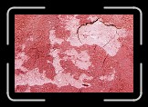 05 Red * 600 x 400 * (313KB)