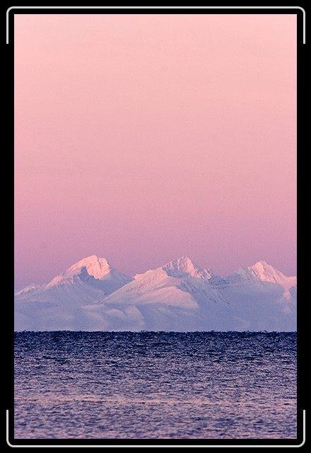 N&auml;chstes Bild