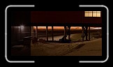 02 Shades * 600 x 297 * (86KB)